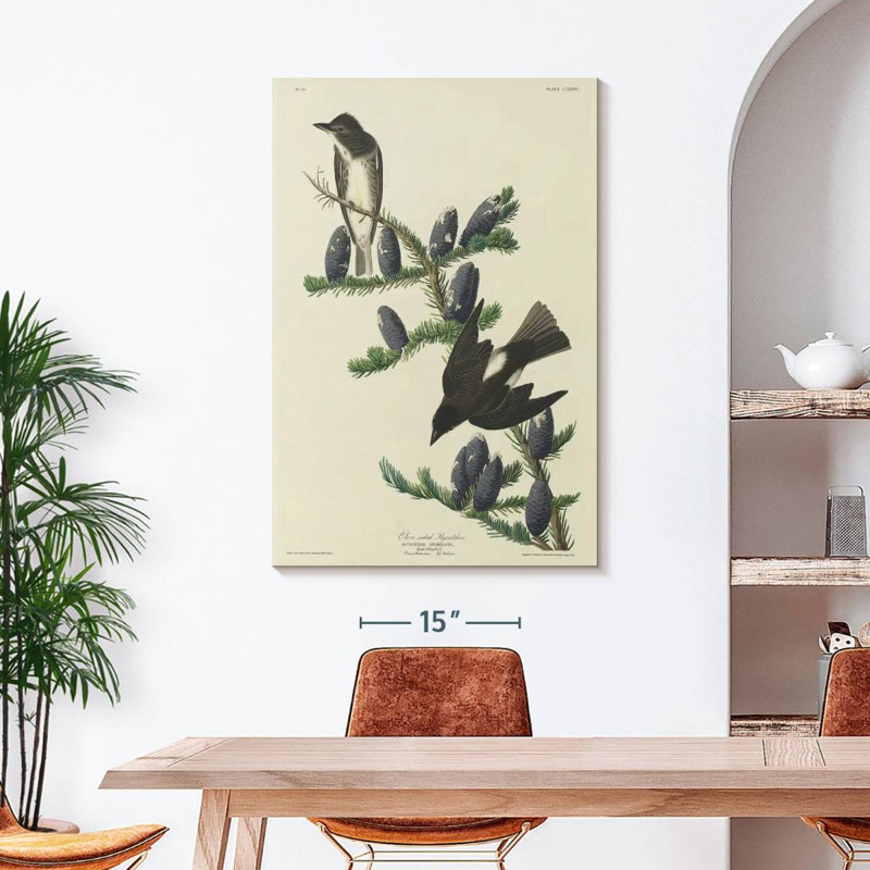 Olive Sided Flycatcher, 45" H x 30" W