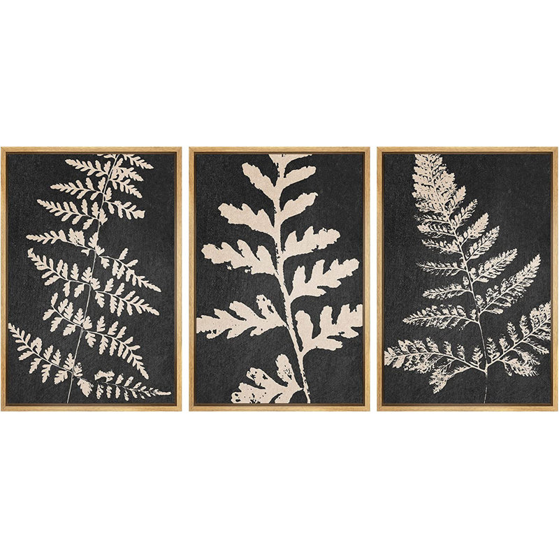 Forêt, fougère, plante, silhouette, nature sauvage, illustrations - ensemble de 3 peintures sur toile, Brun