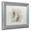 « two cancellara shells », reproduction de photo sur toile encadrée-32709778-32709783