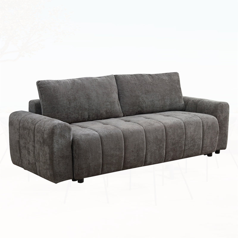 Latitude Run® 2 in 1 Pull Out Sleeper Sofa Couch Bed with Storage ...