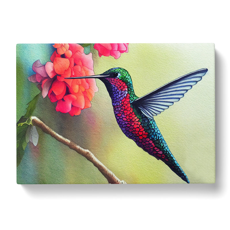 Hummingbird Watercolour Vol.6 - Wrapped Canvas, 35cm H x 50cm W x 3cm D