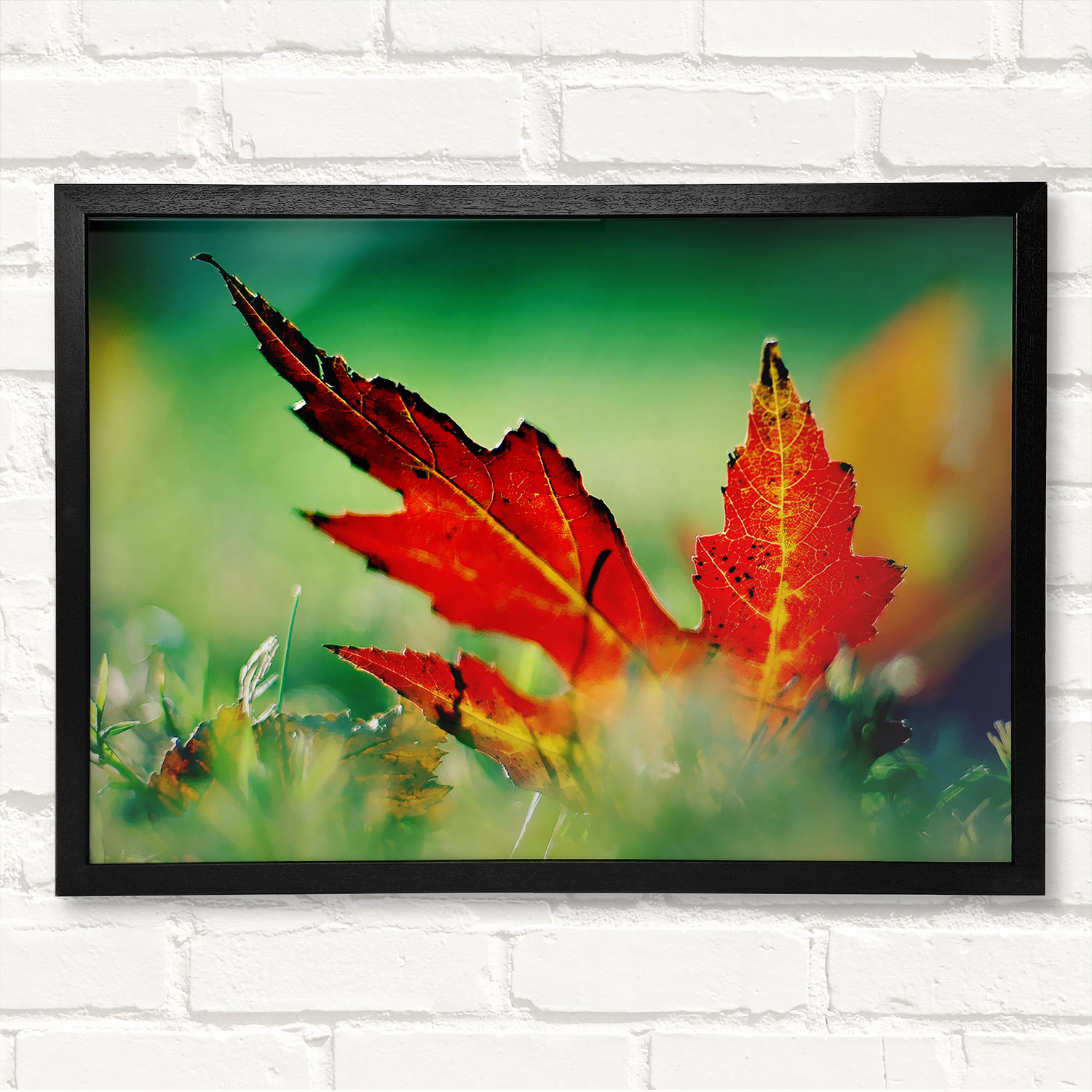 Ebern Designs Autumn Red Leave On The Ground Framed Print | Wayfair.co.uk