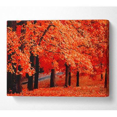 Beautiful Autumn Orange Leaves - Wrapped Canvas Print