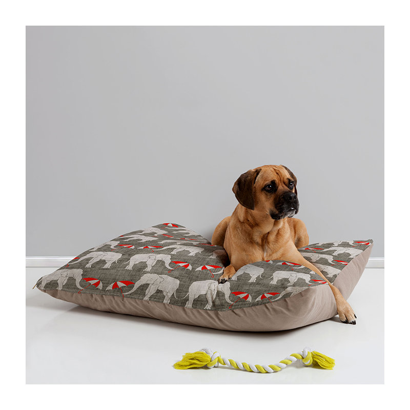 Coussin Darieus
