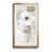 " Sheer Elegance II " Painting Print-169287246-241304422
