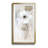 " Sheer Elegance II " Painting Print-241304422-169287246