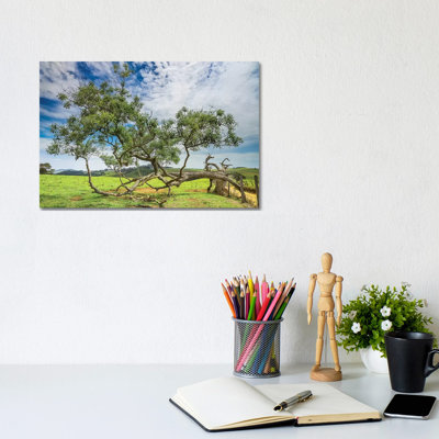 Landscape 21 - Wrapped Canvas Print