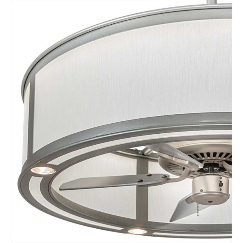 Daneisha 30'' Ceiling Fan with LED Lights