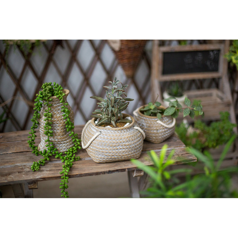 Burlingame Ceramic Hanging Planter, 5" H x 5" W x 4" D