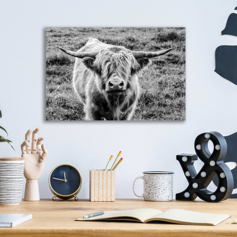 «Highland Cow Staring Contest» par Nathan Larson