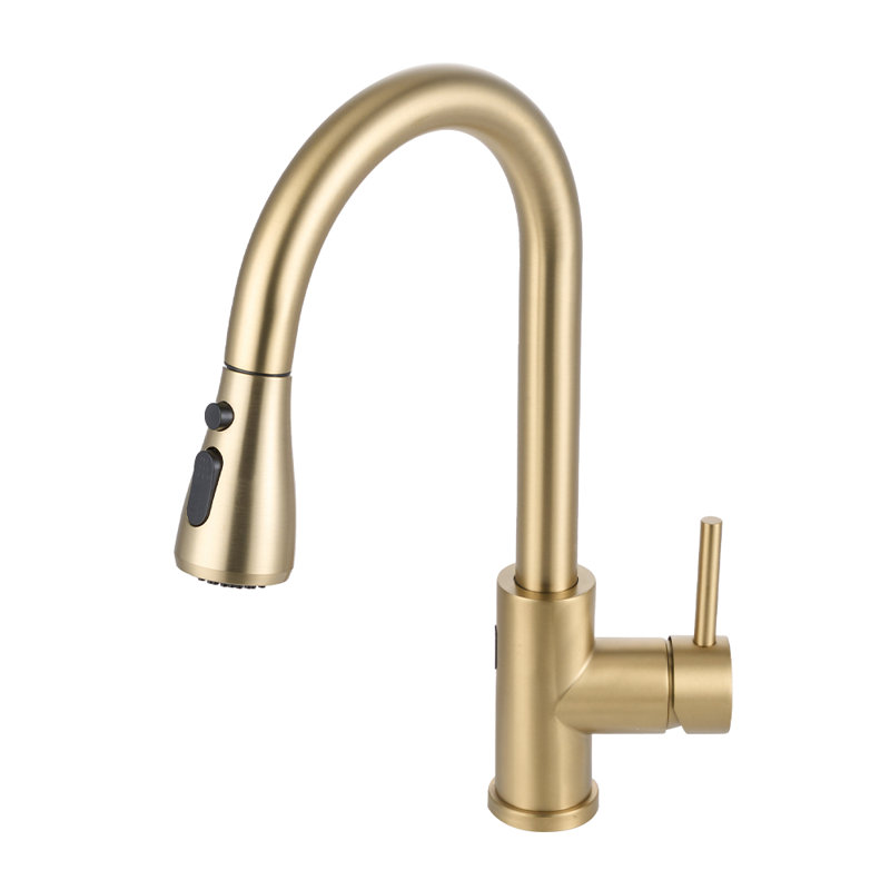 Belfry Kitchen Pull Out Touchless Kitchen Faucet, Gold
