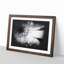 Pretty Flower - Picture Frame Graphic Art Print-56861911-56861912