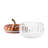 Harvest Pumpkin Storage Jar-100651556