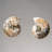 Two Genuine Polished Calcified Ammonite Halves in Display Box (0.5 Lbs)