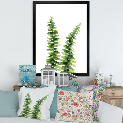 " Fern Plant In Greenbotanical Detail "