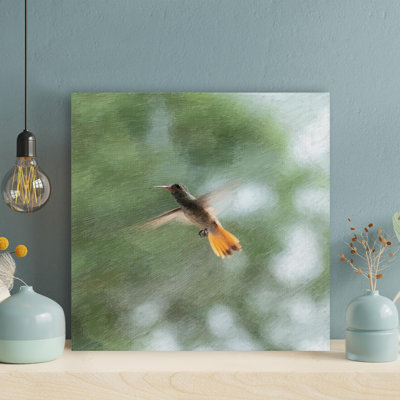 Brown Humming Bird Flying During Daytime - 1 Piece " Brown Humming Bird Flying During Daytime " Painting Print