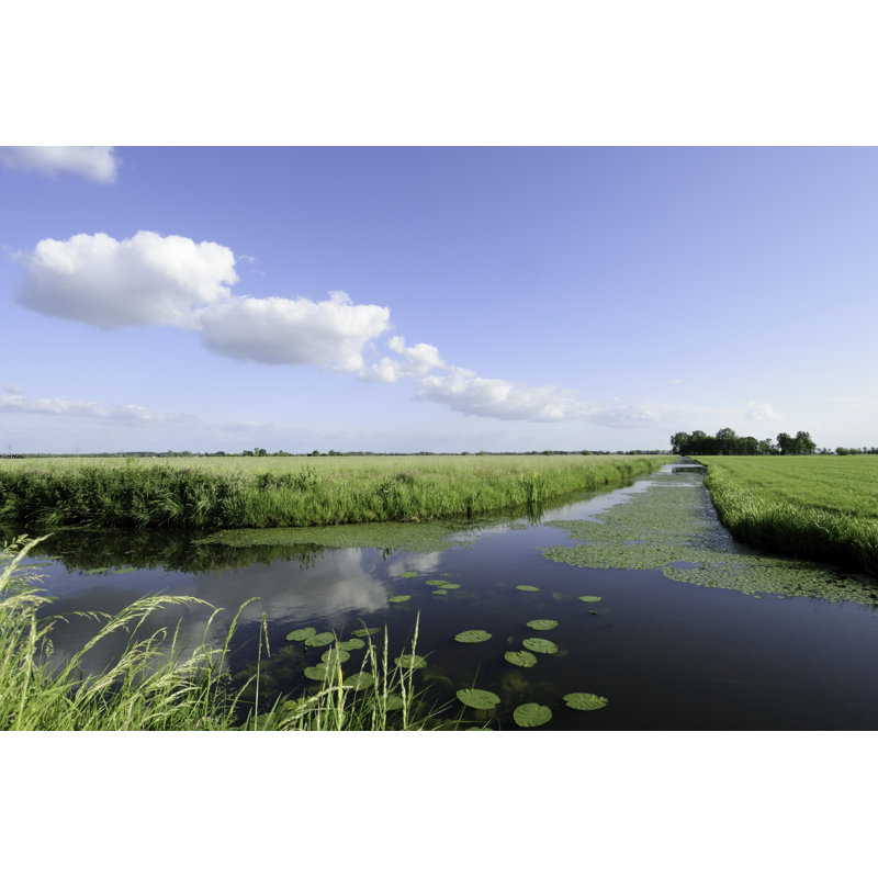 Ditch In Summer by VLIET - No Frame Art Prints on Canvas, 81cm H x 122cm W