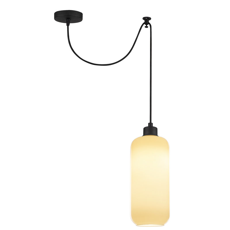 1 - Light Black Single Pendant
