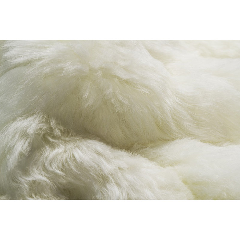 Tapis blanc 2 pi x 3 pi
