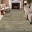 Tapis oriental vert performance Abastos-1636814379-1673505656