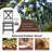 Padded Stackable Folding Dining Chairs with Solid Wood Frame-233961518