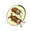 Astor 1/2" Round Thermostatic Trim Plate With Handle-1204897878