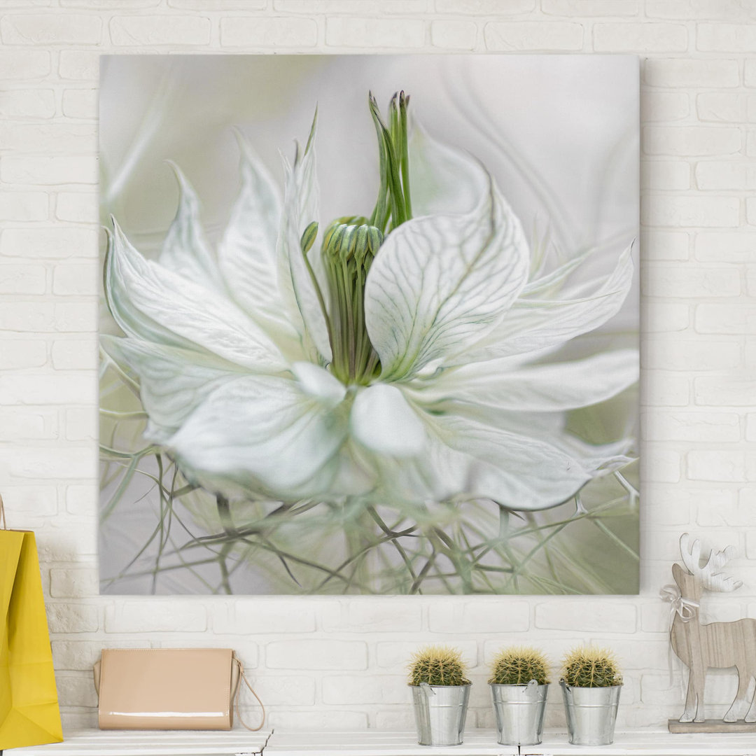 Leinwandbild White Nigella