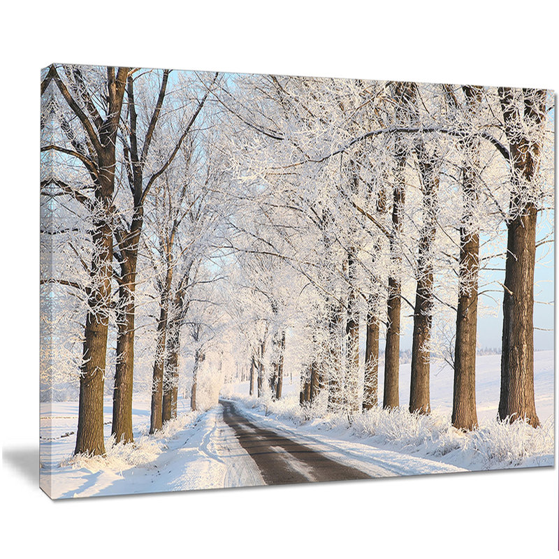 Beautiful Winter Lane at Morning - Reproduction de photo sur toile tendue, H 20 po x l 20 po x P 1 po