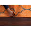 Tapis all-over style rétro vieilli 4 x 6