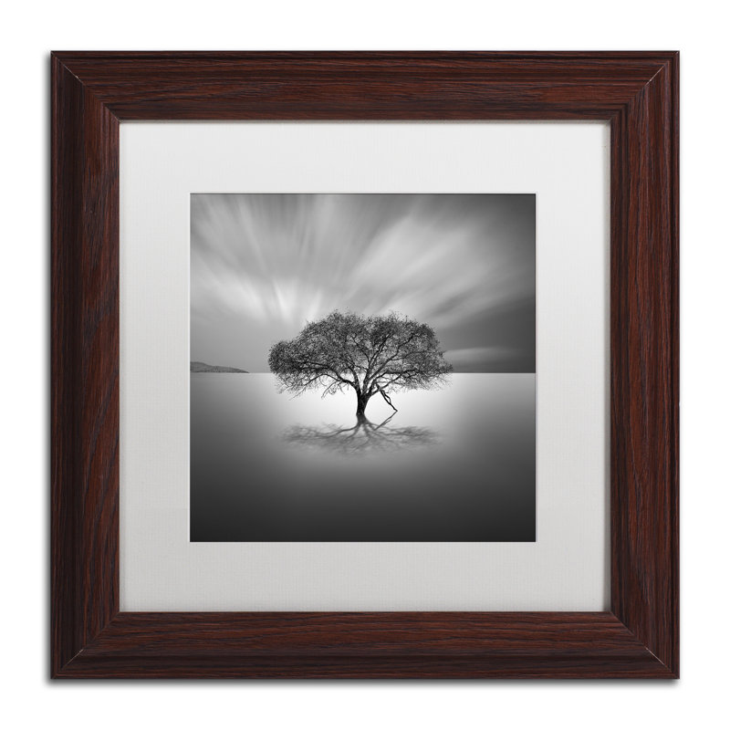 « water tree viii » par moises perçu, reproduction de photo encadrée, H 11 po x l 14 po x P 0,5 po