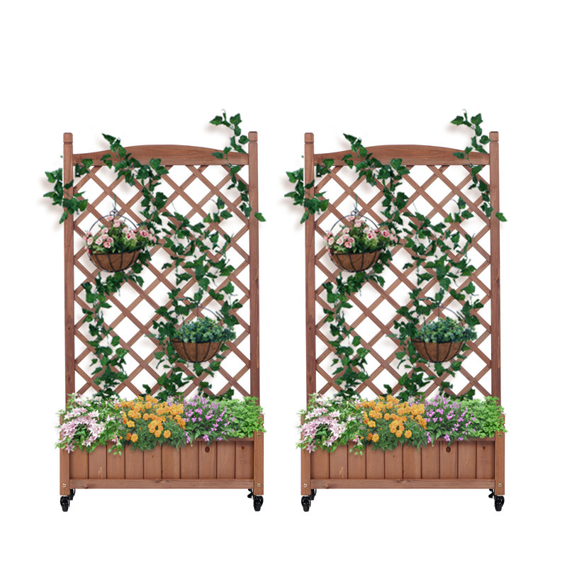 Lit de jardin surélevé avec treillis (2 ensembles)