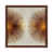 Brown Framed
