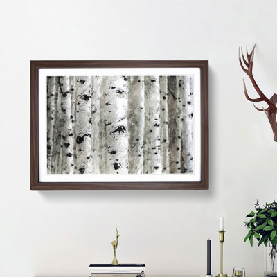 Silver Birch Tree Forest - Picture Frame Painting Print