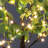 72'' Led Lighted Trees & Branches