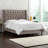 Upholstered Wingback Bed-14891452-14891447