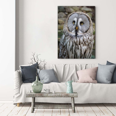 Owl - Wrapped Canvas Print