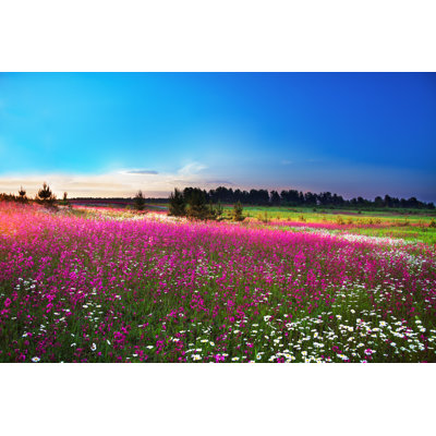 «Blossoming Field» par Yanikap - Photographie sur toile tendue