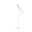 Type A LED Task Floor Lamp-61733796-61733797