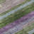 Premium Machine Washable Prisco Cactus Rug-1992342993