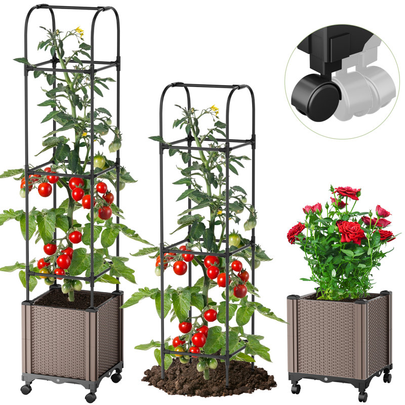 Boîte à fleurs surélevée avec treillis et jardinière avec arrosage