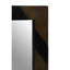 Sigismund Metal Rectangle Wall Mirror
