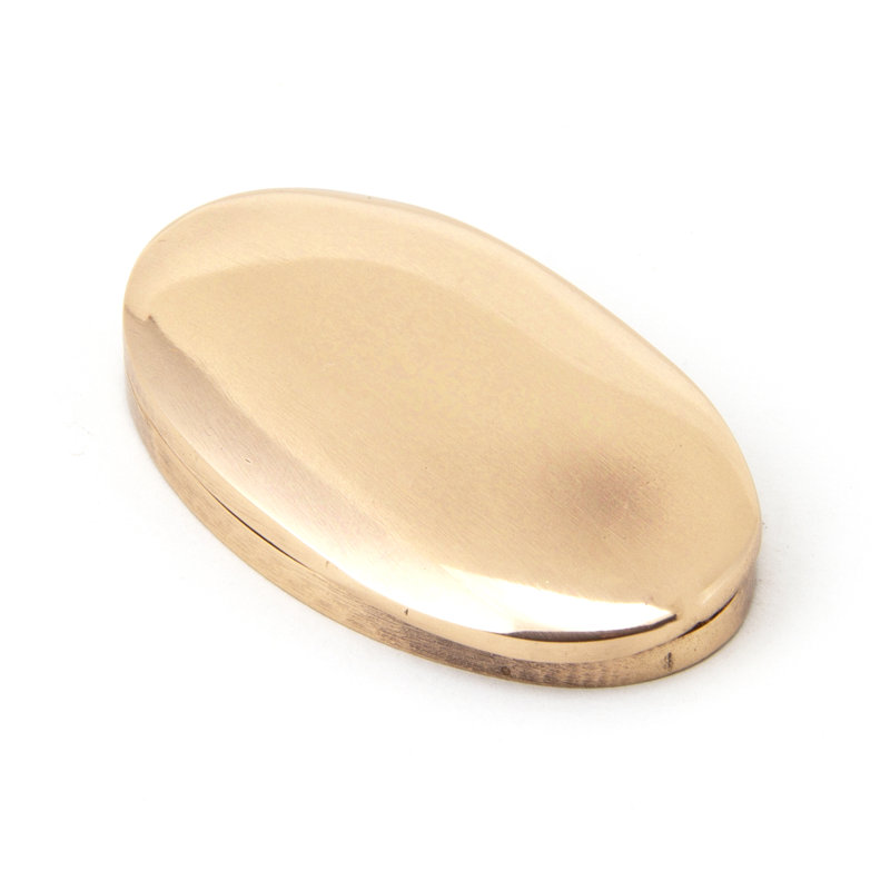 Escutcheon & Cover Door Accessory, Polished Bronze