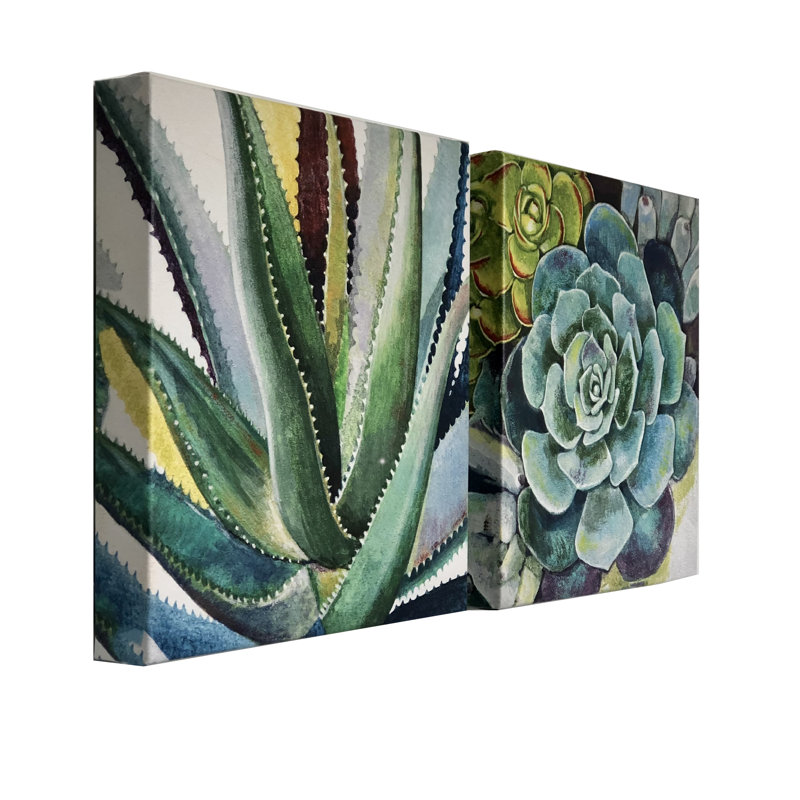 Brilliant Succulents I/II by Norman Wyatt Jr. - Canvas Print Set, 24" H x 48" W, No Mat, Wrapped Canvas
