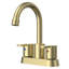 Robinet de salle de bain à 2 poignées avec ensemble de drain Alamo inclus en nickel brossé-91289253