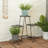 Metal Plant Stand