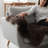 Fraga Sheepskin Indoor Rug-2015399453