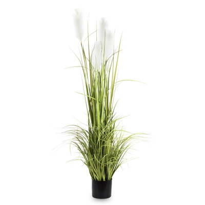 Faux evergreen Grass Plant in Plastic Pot