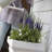 Step 2 Atherton Self-Watering Planter Box-305918585-305918580