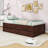 Platform Bed with Trundle and Drawers-1012313415-1012313418