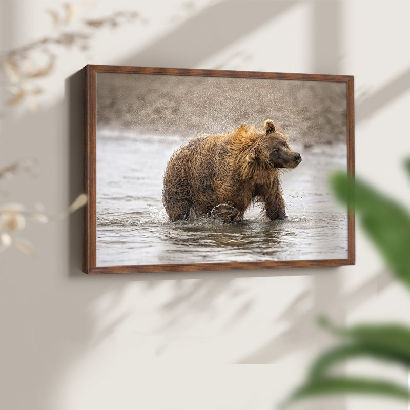 Étude de photographie «Shake it off» - reproduction encadrée, Noyer, H 16 po x l 20 po